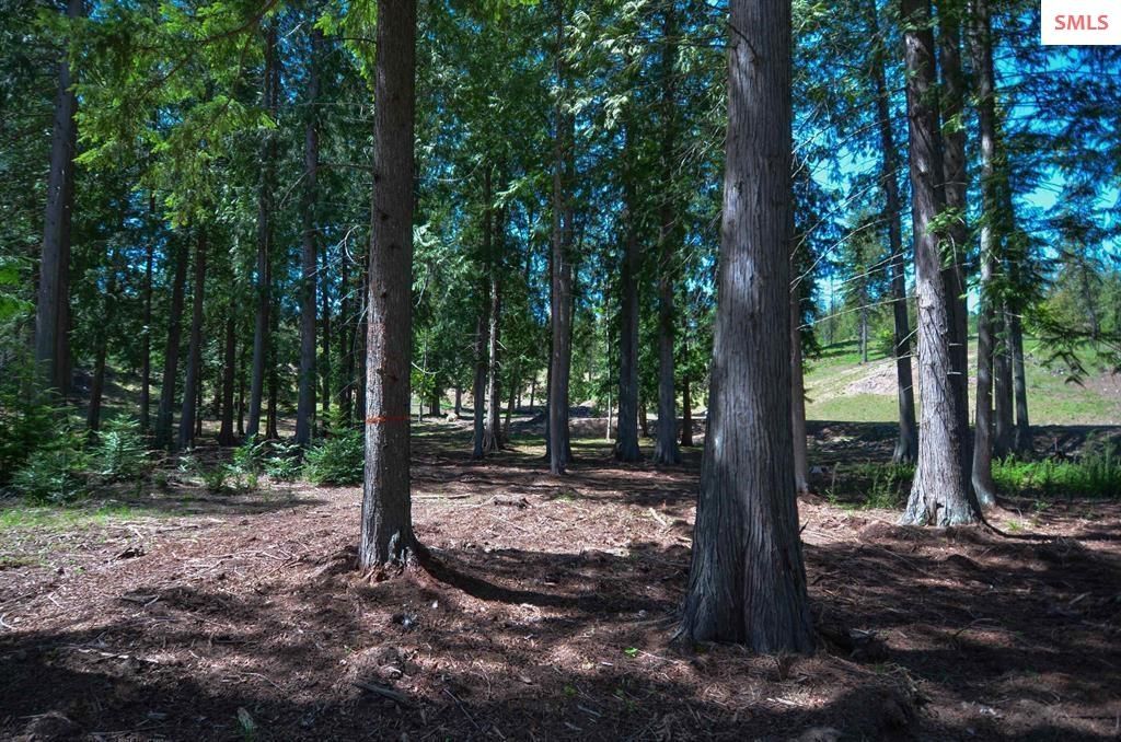 Est Lot 3/4 Camp Bay Estates, Sagle, ID 83860 photo 11