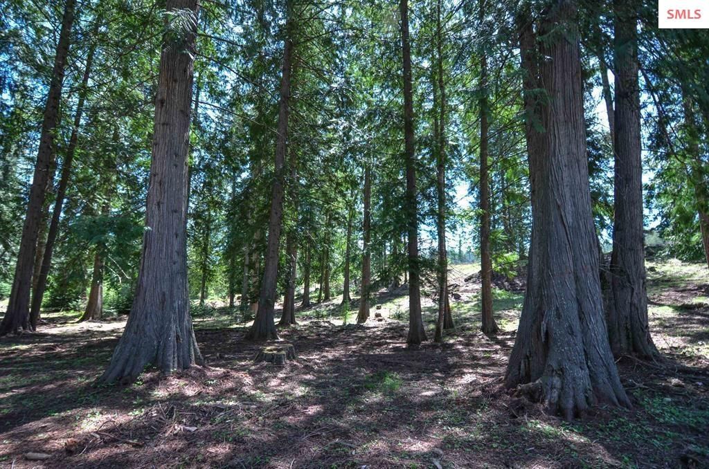 Est Lot 3/4 Camp Bay Estates, Sagle, ID 83860 photo 13