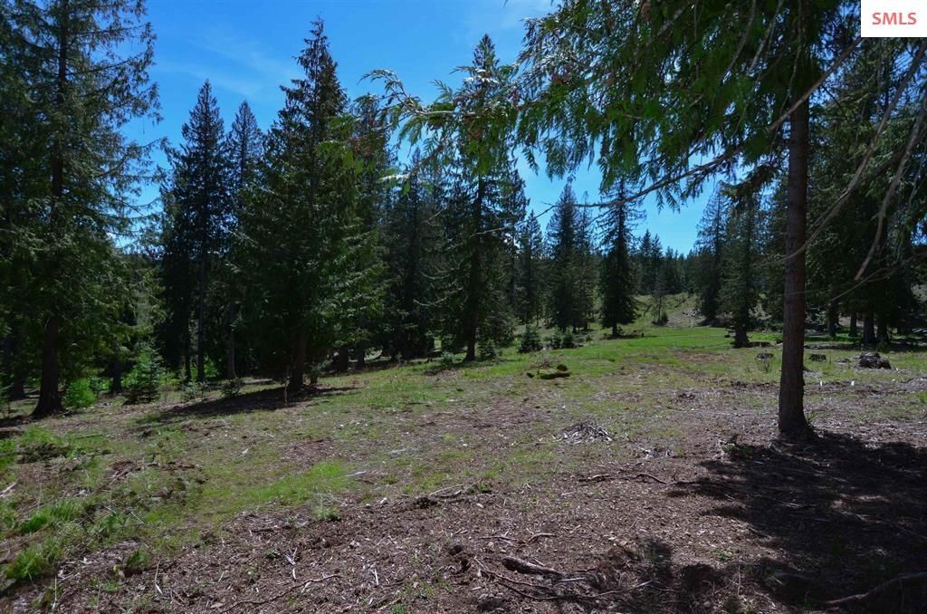 Est Lot 3/4 Camp Bay Estates, Sagle, ID 83860 photo 15