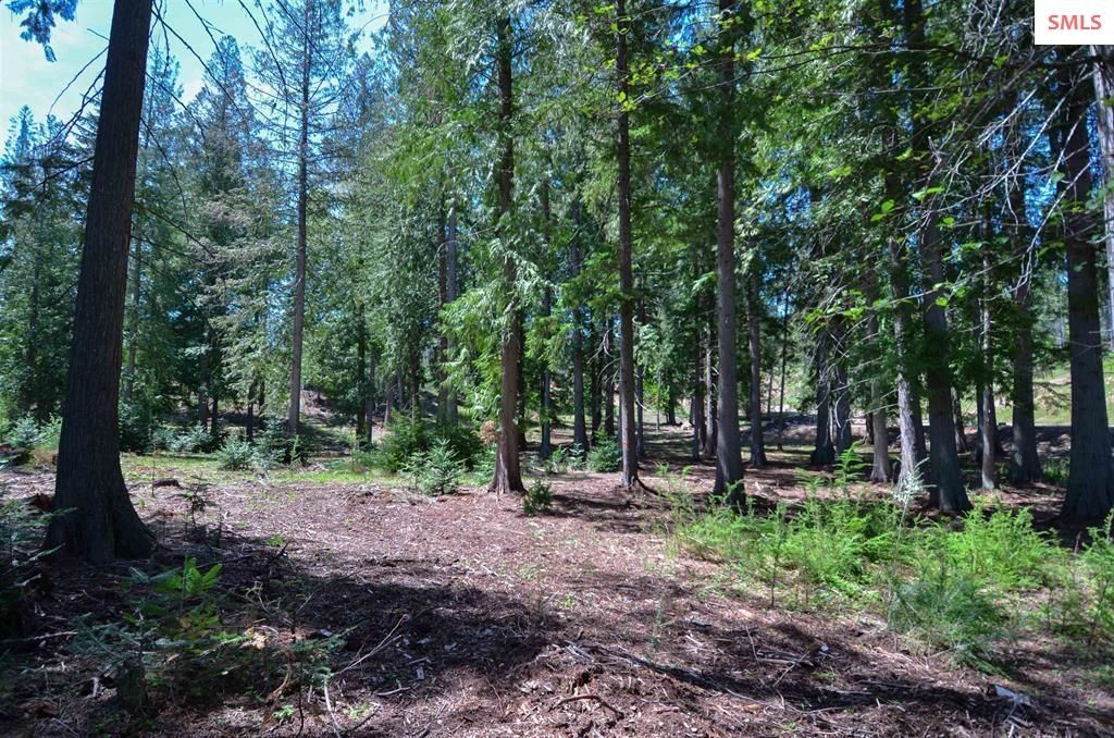Est Lot 3/4 Camp Bay Estates, Sagle, ID 83860 photo 16