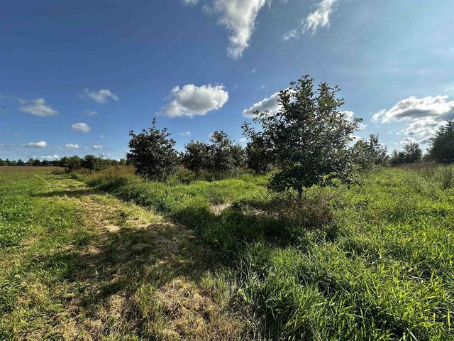 N5449 County M Road, Brandon, WI 53919