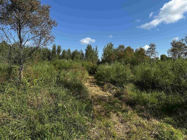 N5449 County M Road, Brandon, WI 53919