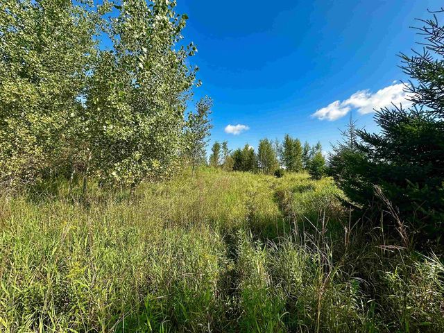 N5449 County M Road, Brandon, WI 53919