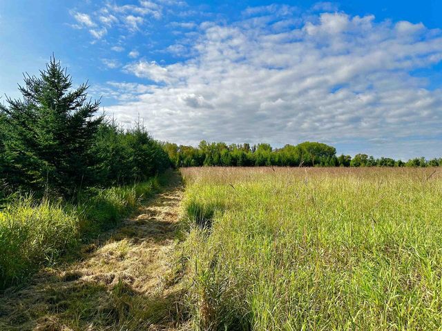 N5449 County M Road, Brandon, WI 53919