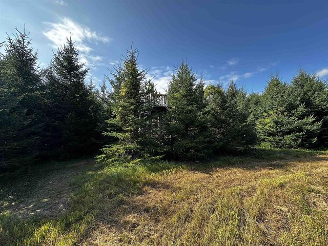 N5449 County M Road, Brandon, WI 53919