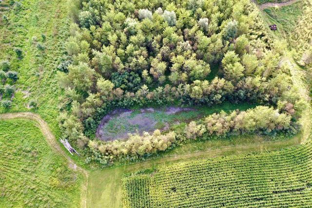 N5449 County M Road, Brandon, WI 53919