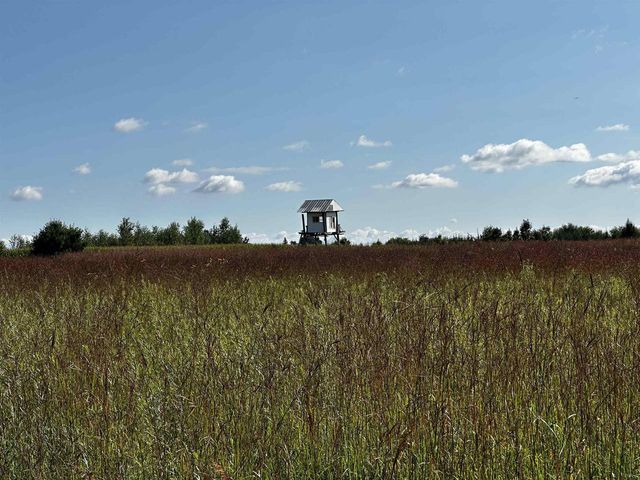 N5449 County M Road, Brandon, WI 53919