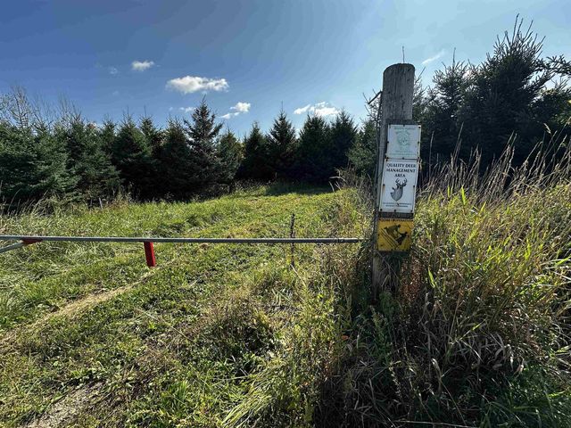 N5449 County M Road, Brandon, WI 53919