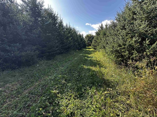 N5449 County M Road, Brandon, WI 53919