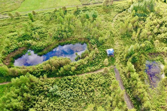 N5449 County M Road, Brandon, WI 53919