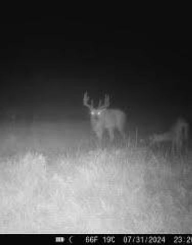 N5449 County M Road, Brandon, WI 53919