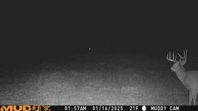 N5449 County M Road, Brandon, WI 53919