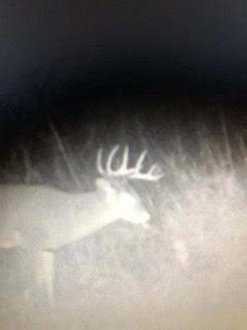 N5449 County M Road, Brandon, WI 53919