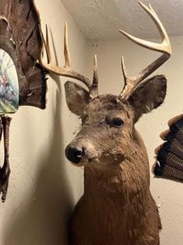 N5449 County M Road, Brandon, WI 53919