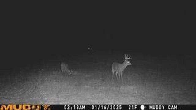 N5449 County M Road, Brandon, WI 53919