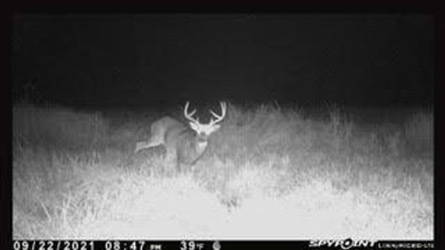 N5449 County M Road, Brandon, WI 53919