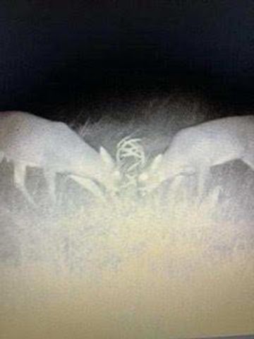 N5449 County M Road, Brandon, WI 53919