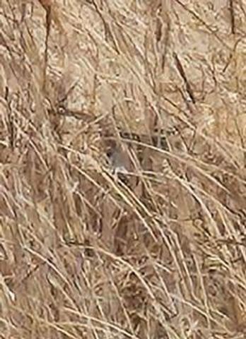 N5449 County M Road, Brandon, WI 53919