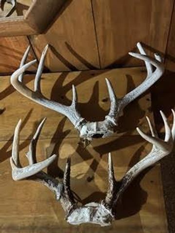 N5449 County M Road, Brandon, WI 53919