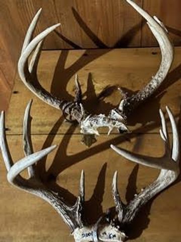 N5449 County M Road, Brandon, WI 53919