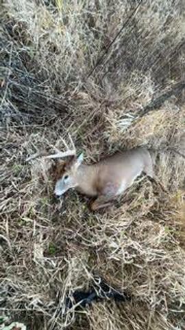 N5449 County M Road, Brandon, WI 53919