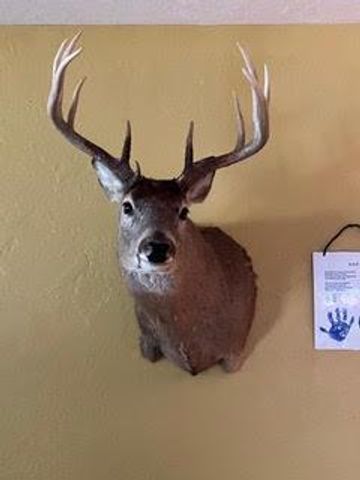 N5449 County M Road, Brandon, WI 53919