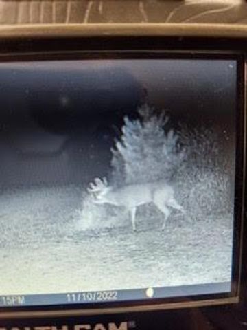 N5449 County M Road, Brandon, WI 53919