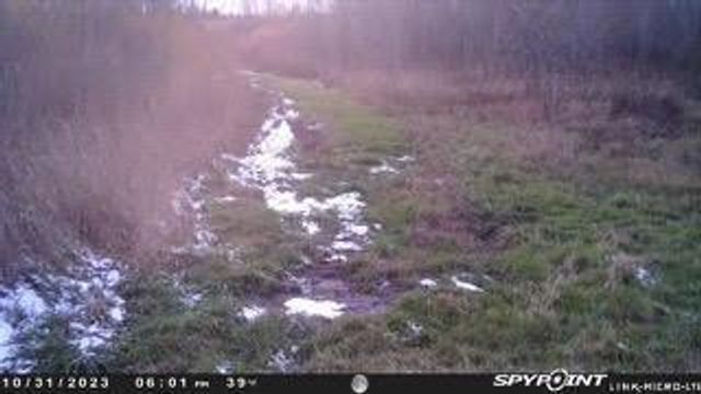 N5449 County M Road, Brandon, WI 53919