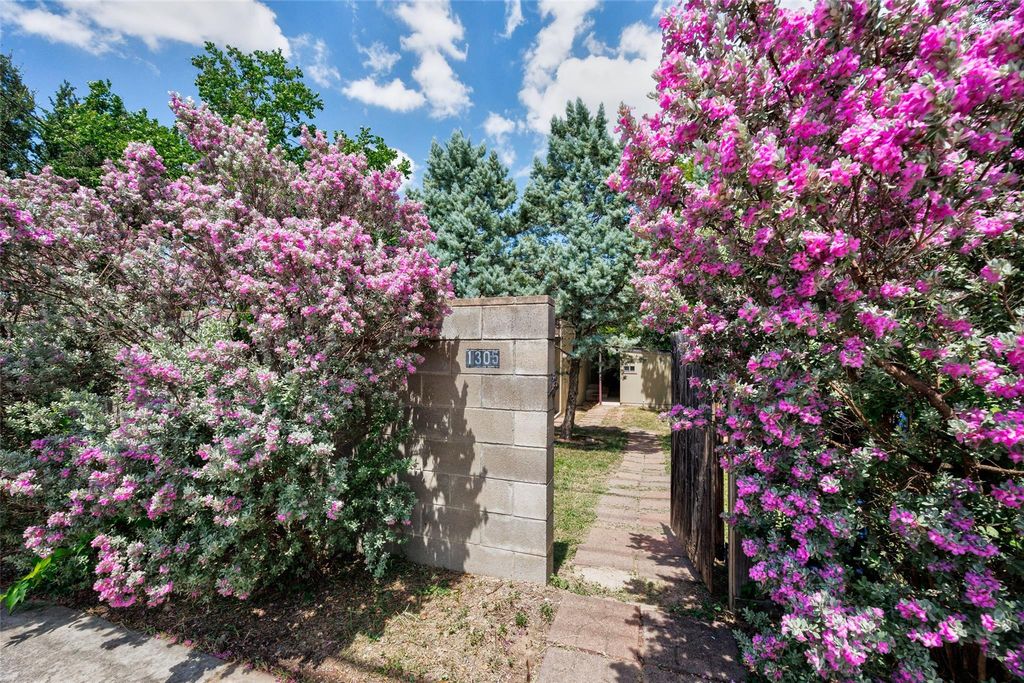 1305 Chestnut Ave, Austin, TX 78702