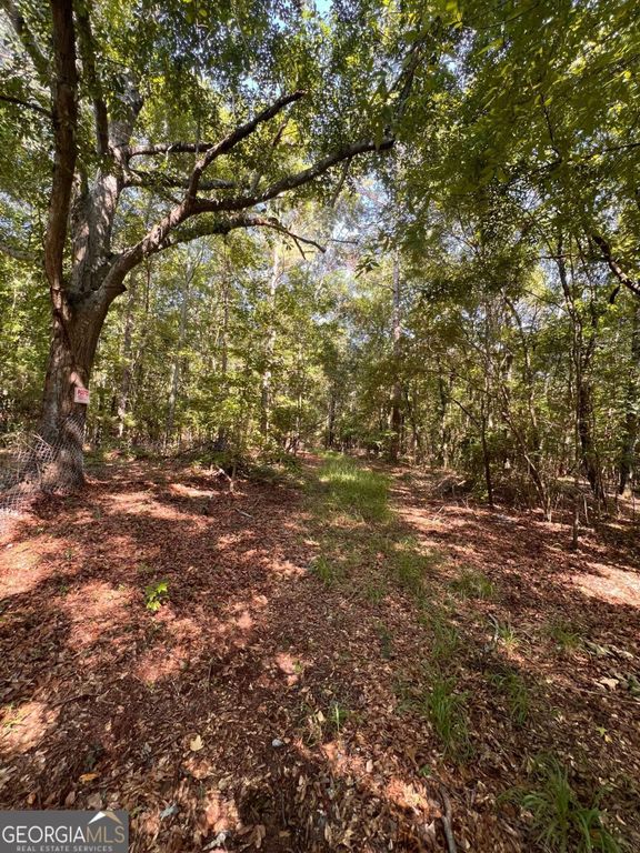 0 Rocky Drive, Colbert, GA 30628 — photo 4