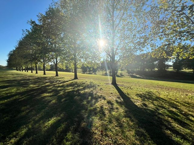 948 N Brace Rd, Summertown, TN 38483