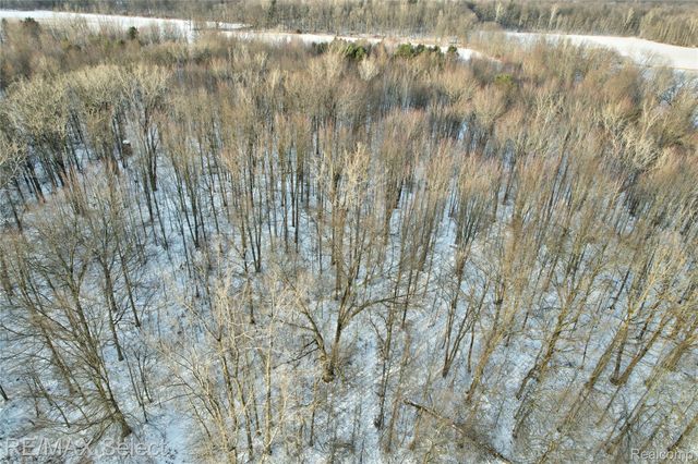 12300 Dodge Road, Montrose Charter Township, MI 48457