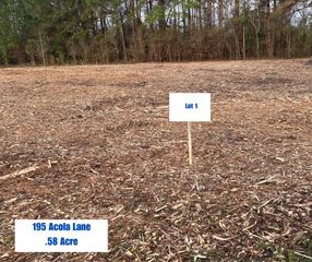 195 Acola Lane, Holly Hill, SC 29059