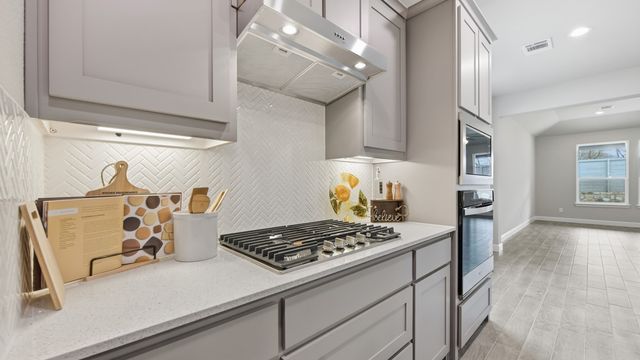 11224 WINGED ELM Way, Justin, TX 76247