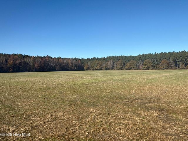 0 Sr 1950, Edward, NC 27821