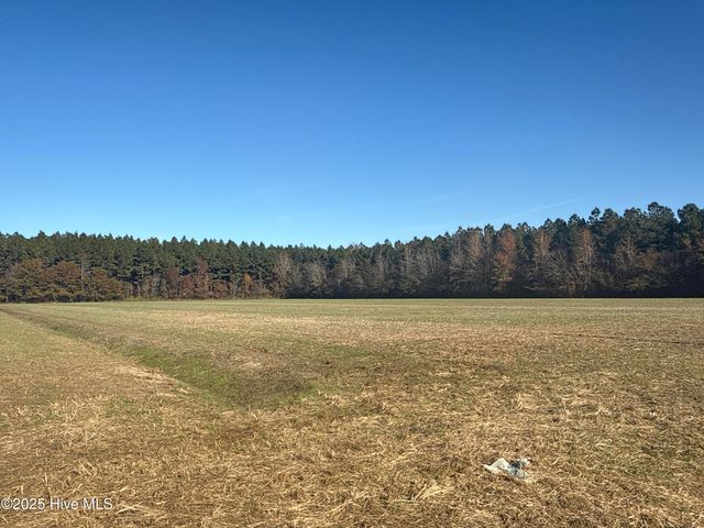 0 Sr 1950, Edward, NC 27821