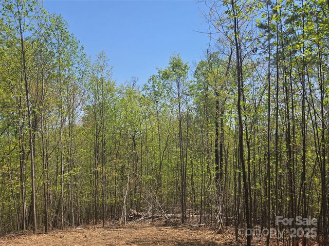 Lot 32 High Rock Ridge, Lake Lure, NC 28746