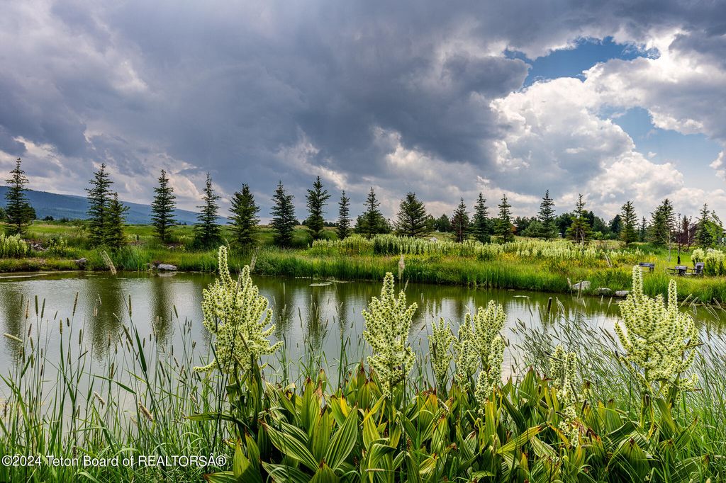 1905 N BEAVER Drive, Alta, WY 83414 photo 67