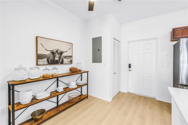 429 LORRAINE LELAND STREET, Dunedin, FL 34698