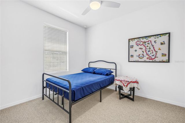 429 LORRAINE LELAND STREET, Dunedin, FL 34698