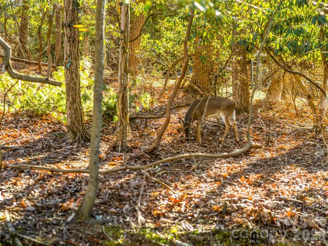 2388 Hebron Road, Hendersonville, NC 28739