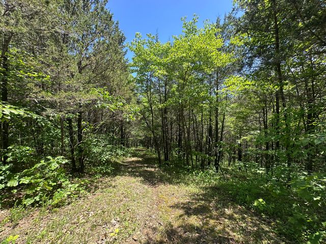 3166 Judio Road, Burkesville, KY 42717