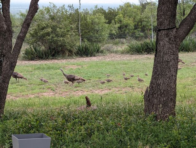 60 Loch Lomond Road, San Angelo, TX 76901