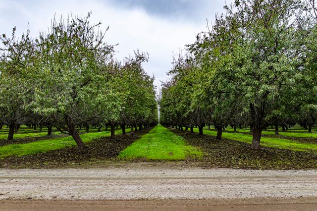 Deer Creek Road, Earlimart, CA 93219