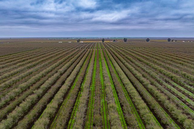 Deer Creek Road, Earlimart, CA 93219