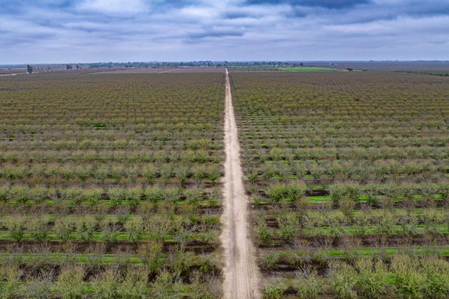 Deer Creek Road, Earlimart, CA 93219