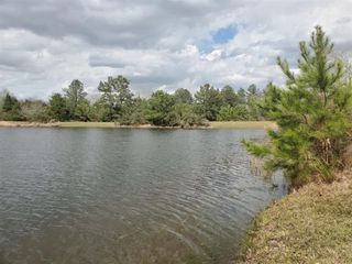 Lots 18-21 N Council Drive, Hempstead, TX 77445