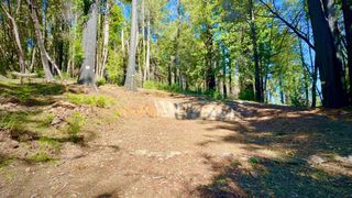 80 Conifer Lane, Santa Cruz, CA 95060