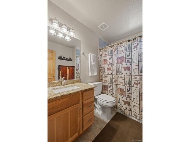 1948 Wagon Wheel Rd, Hartsel, CO 80449