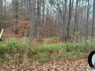 651 PINE MOUNTAIN TRAIL, Chelsea, AL 35043